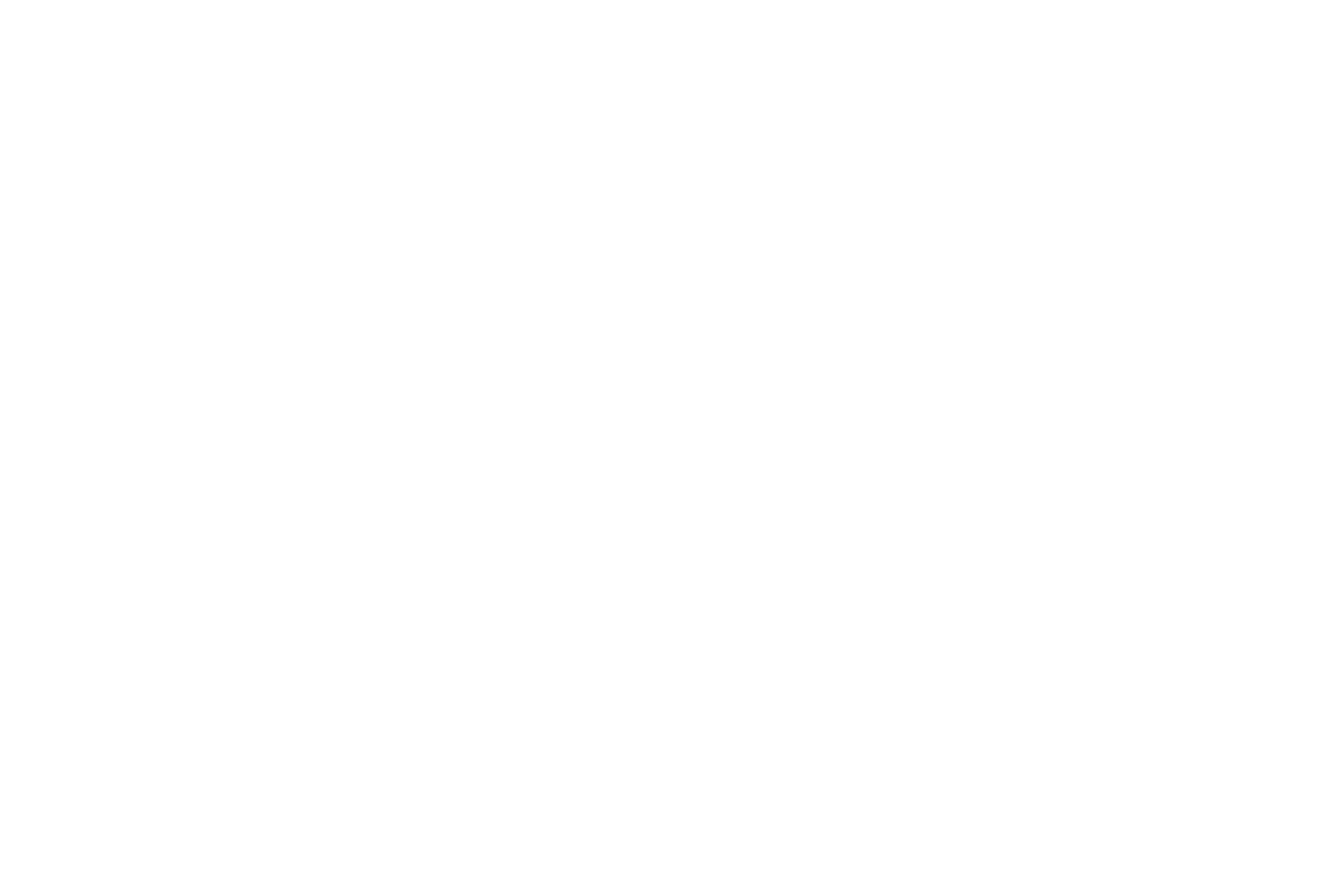 Logo NSNTEAM